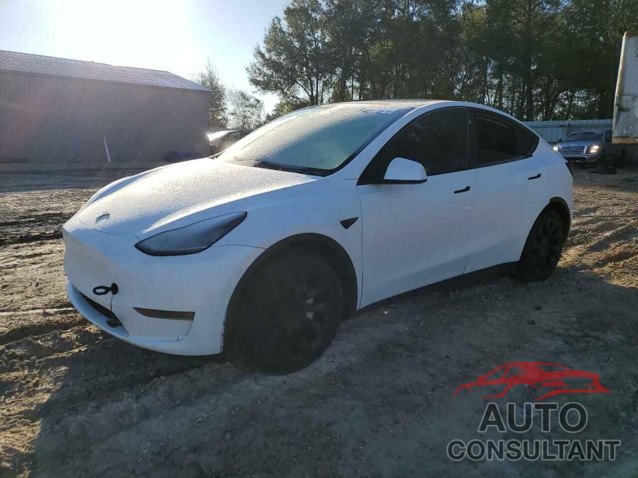 TESLA MODEL Y 2020 - 5YJYGDEE2LF034005