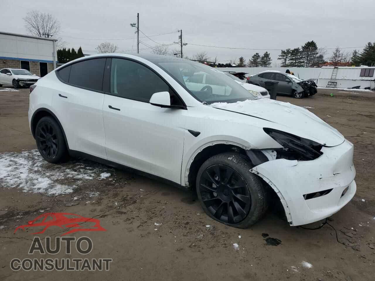TESLA MODEL Y 2025 - 7SAYGDEE4SA357731