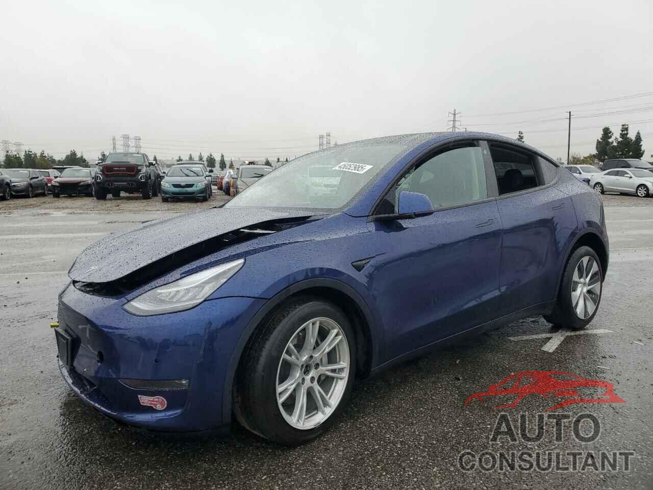 TESLA MODEL Y 2021 - 5YJYGDEE2MF199876