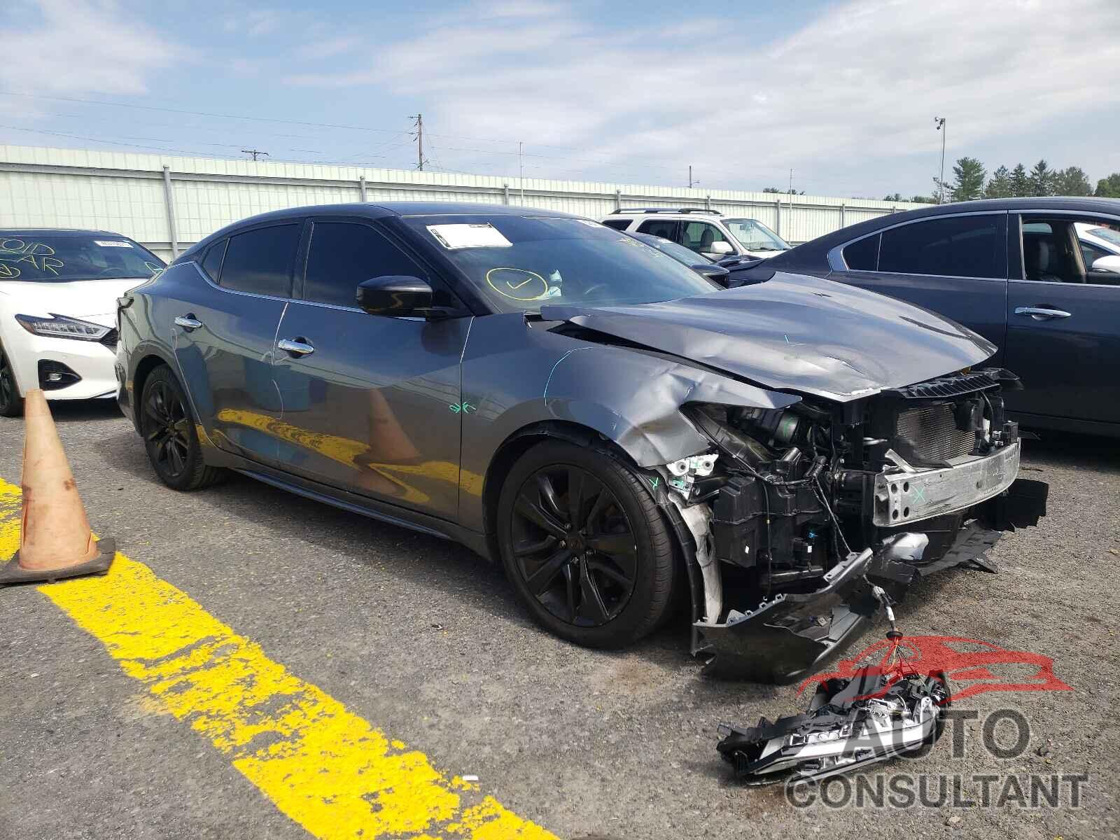 NISSAN MAXIMA 2019 - 1N4AA6AV8KC373745