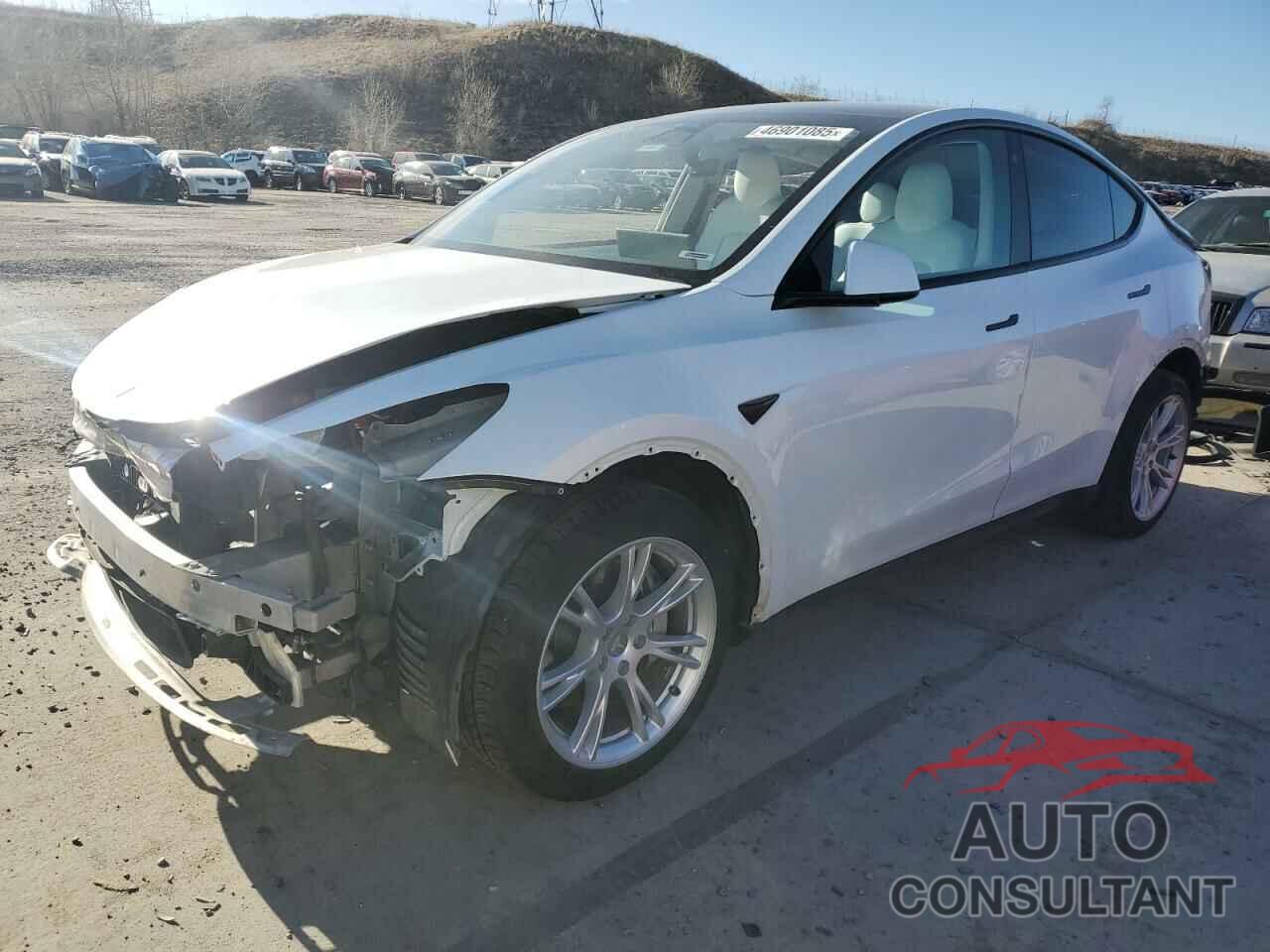 TESLA MODEL Y 2022 - 7SAYGDEE8NF515141