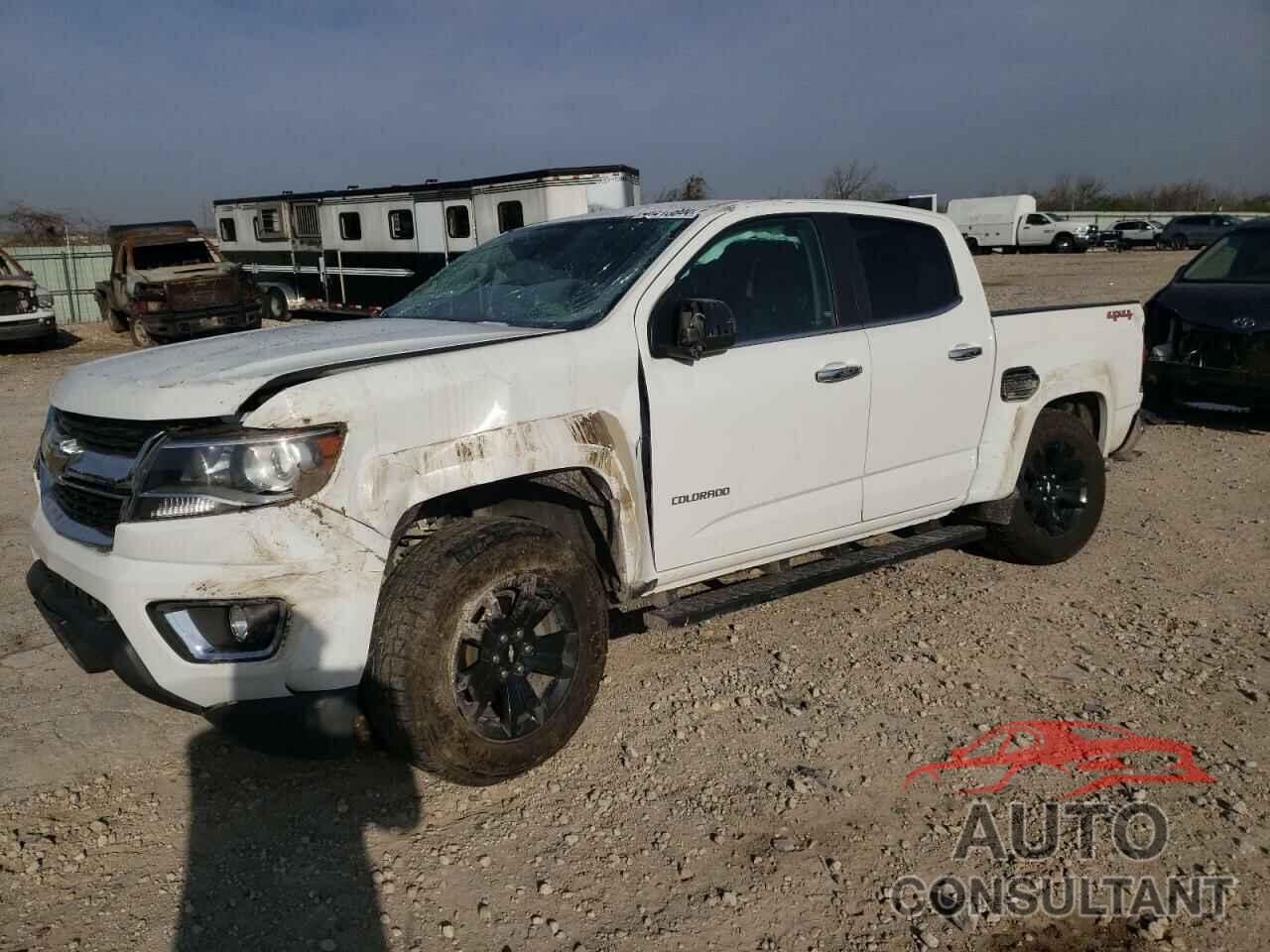 CHEVROLET COLORADO 2016 - 1GCGTCE34G1116395