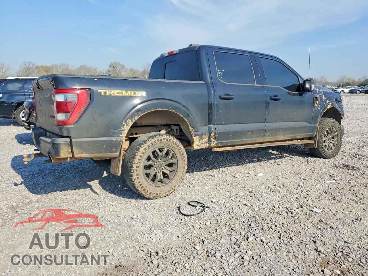 FORD F150 2021 - 1FTEW1E86MFC86237