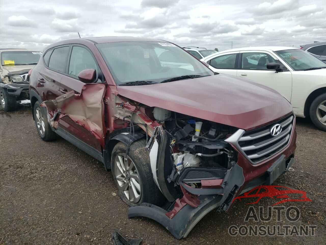 HYUNDAI TUCSON 2017 - KM8J23A40HU346342