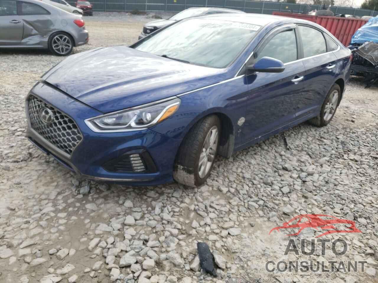 HYUNDAI SONATA 2019 - 5NPE34AF8KH800087