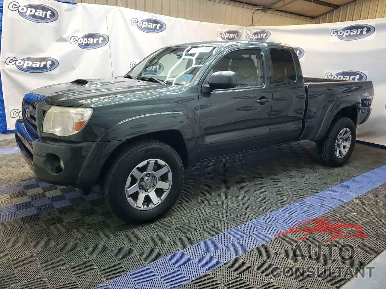 TOYOTA TACOMA 2009 - 5TEUU42N09Z598254