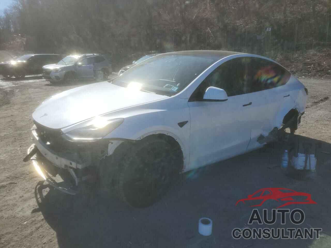 TESLA MODEL Y 2022 - 7SAYGDEE3NF385950