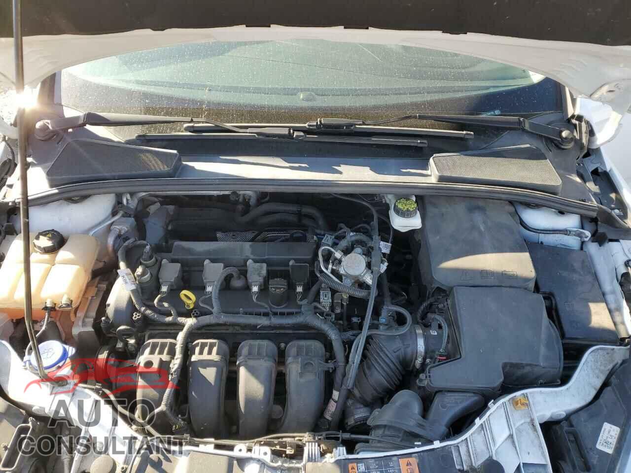 FORD FOCUS 2017 - 1FADP3F20HL335119