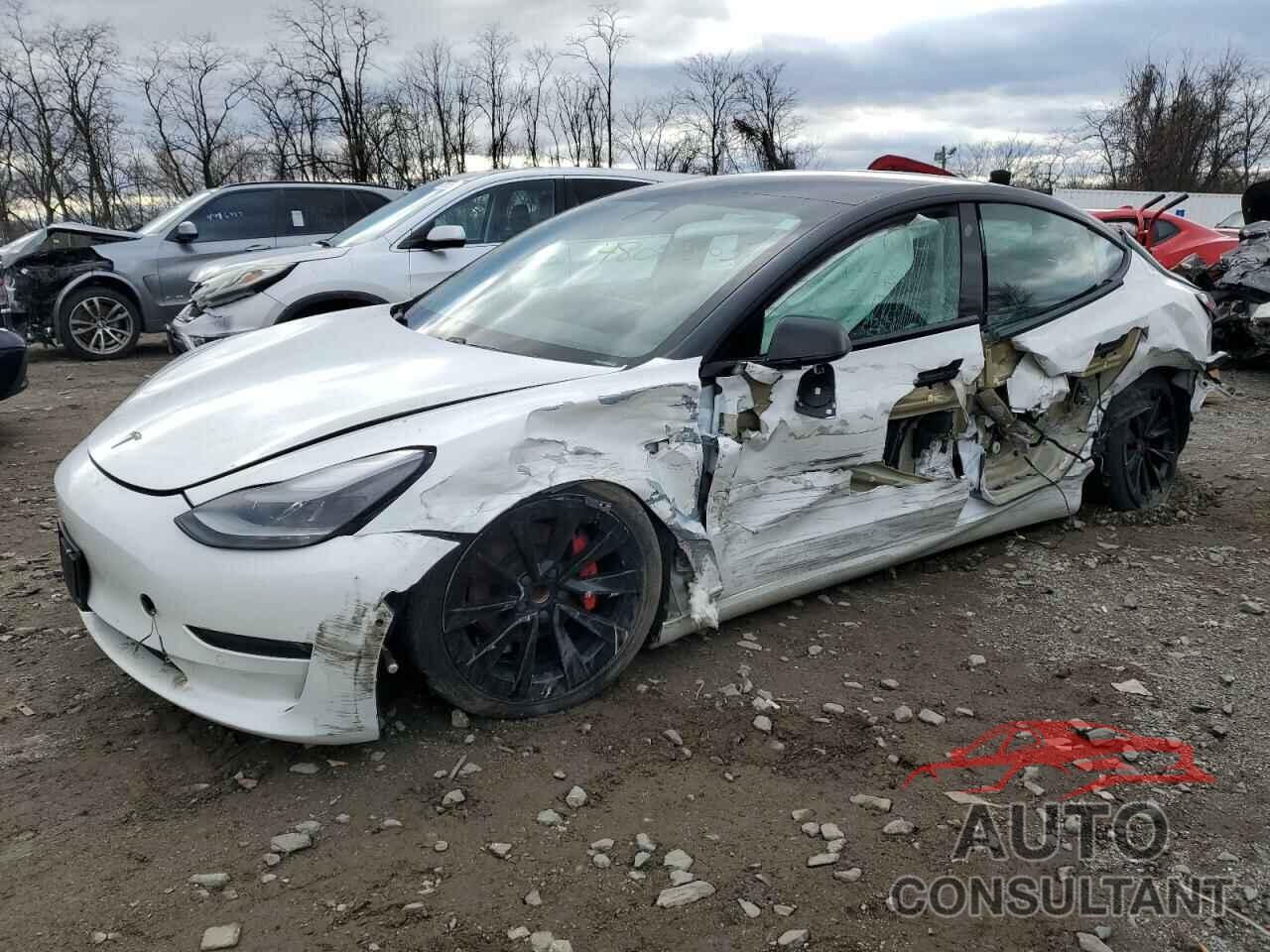 TESLA MODEL 3 2021 - 5YJ3E1EA5MF028051