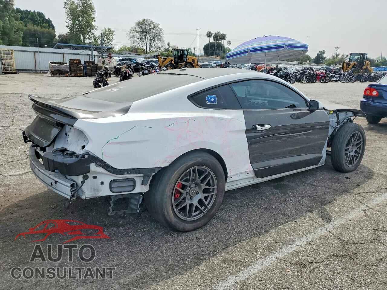 FORD MUSTANG 2019 - 1FA6P8CF5K5120800