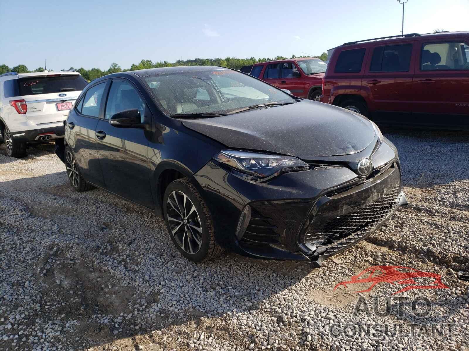 2019 COROLLA TOYOTA