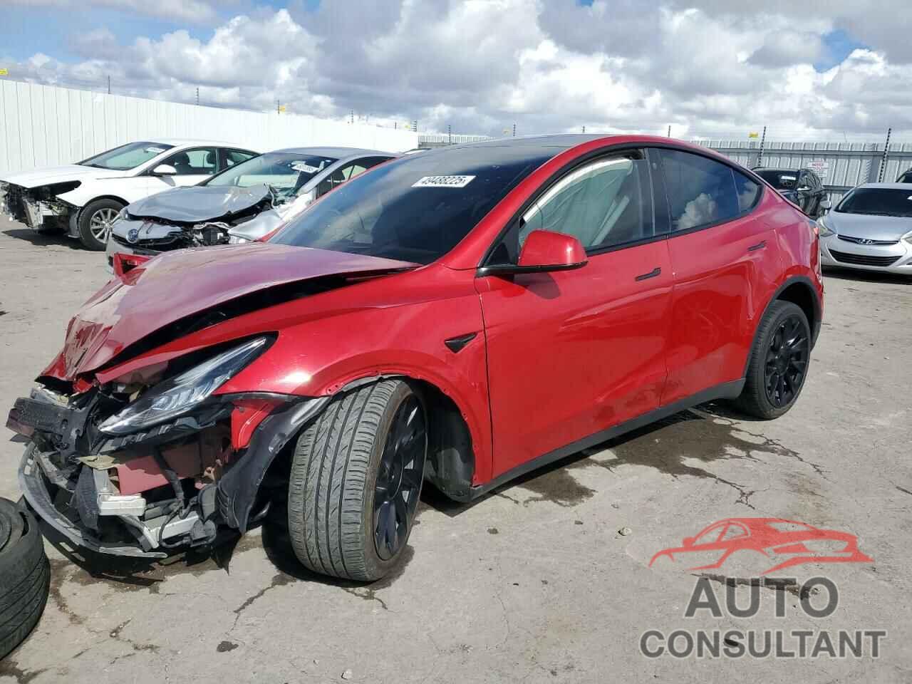 TESLA MODEL Y 2021 - 5YJYGDEE1MF213895
