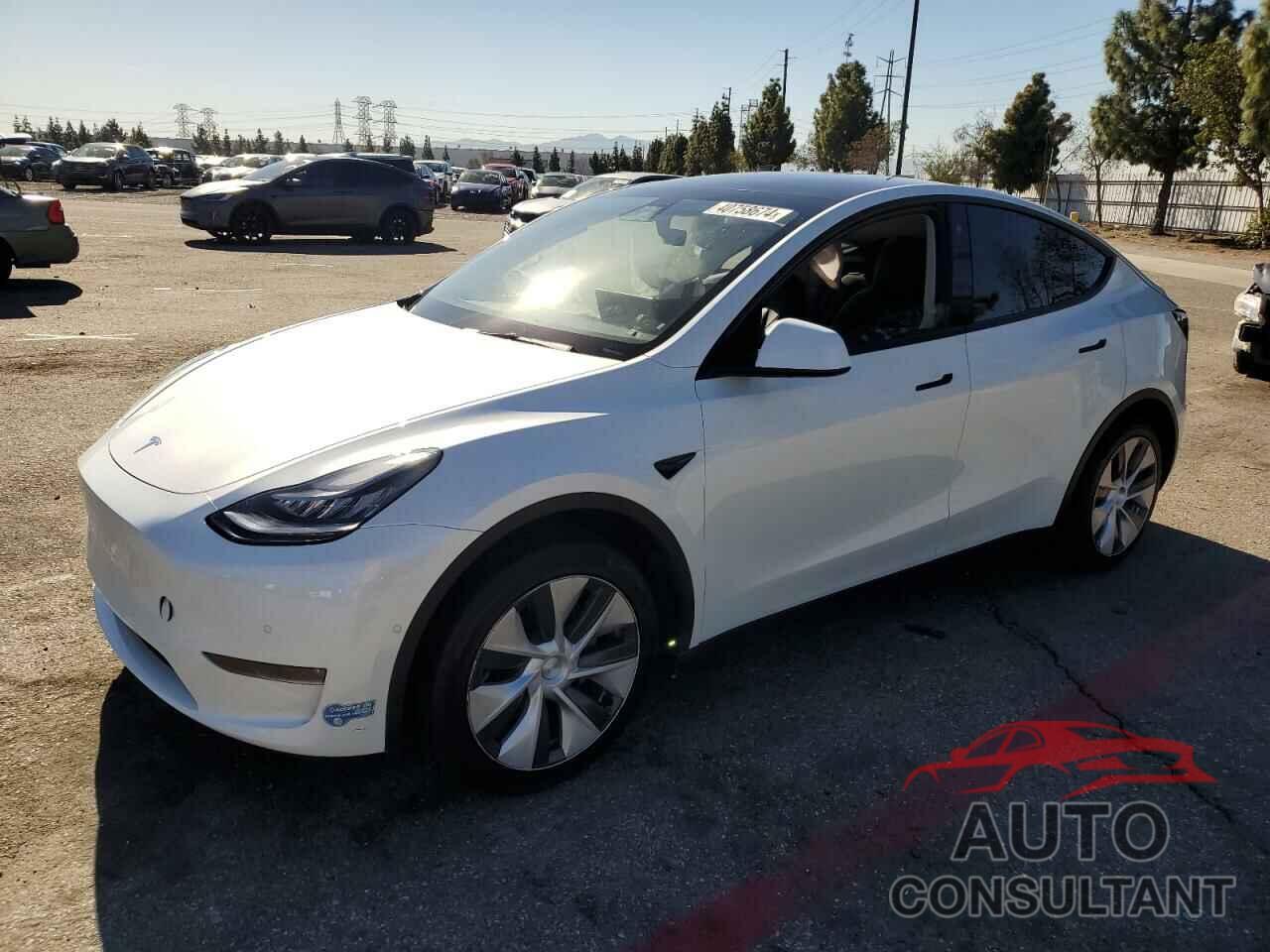 TESLA MODEL Y 2021 - 5YJYGDEE6MF088313