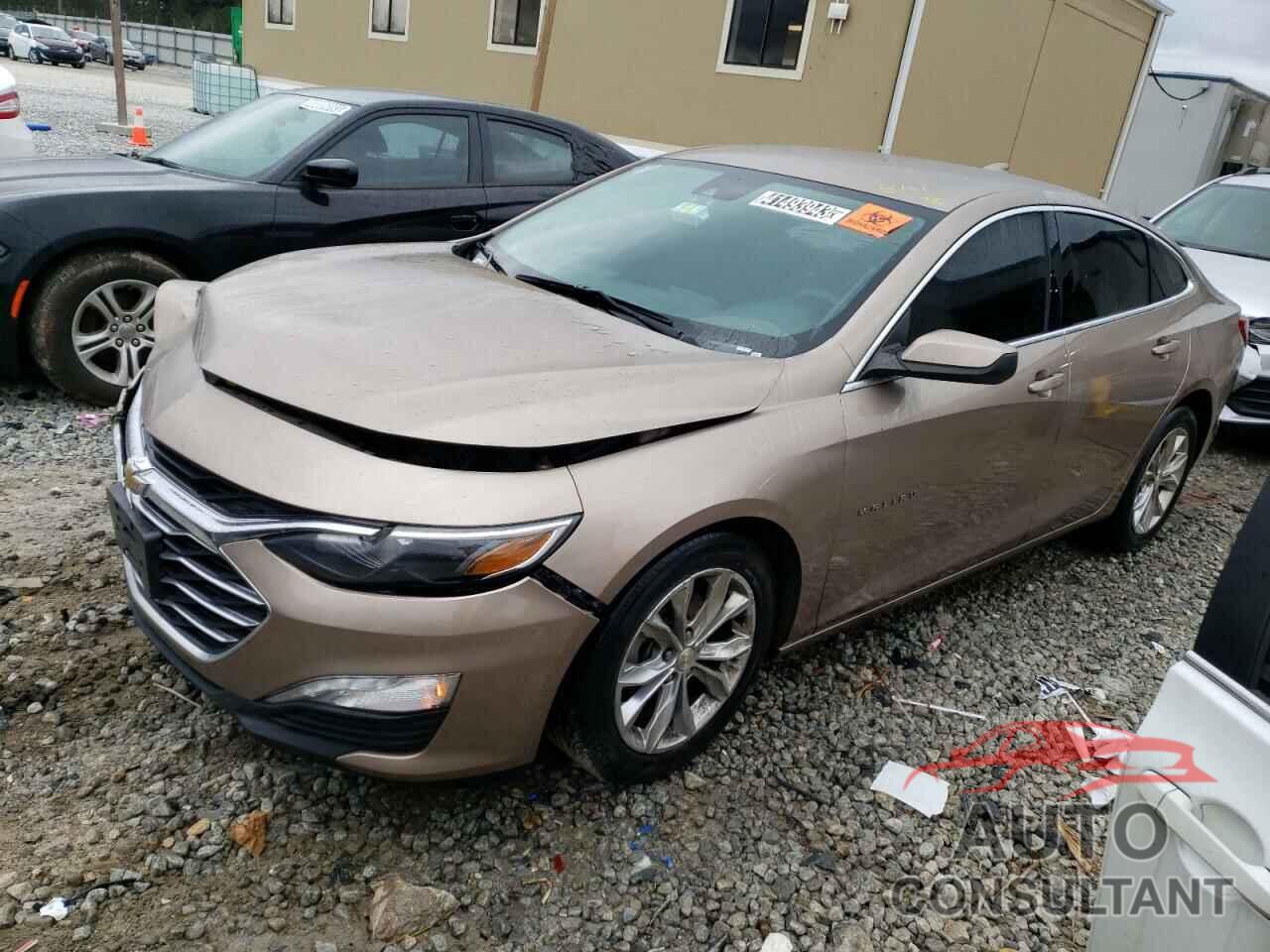 CHEVROLET MALIBU 2019 - 1G1ZD5ST0KF117196