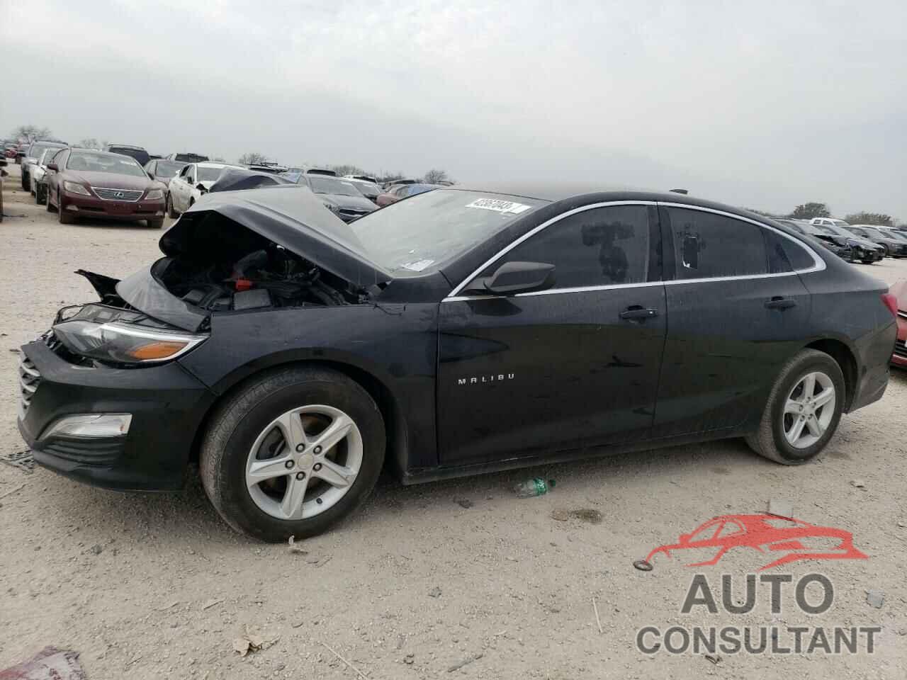 CHEVROLET MALIBU 2019 - 1G1ZC5ST9KF181076