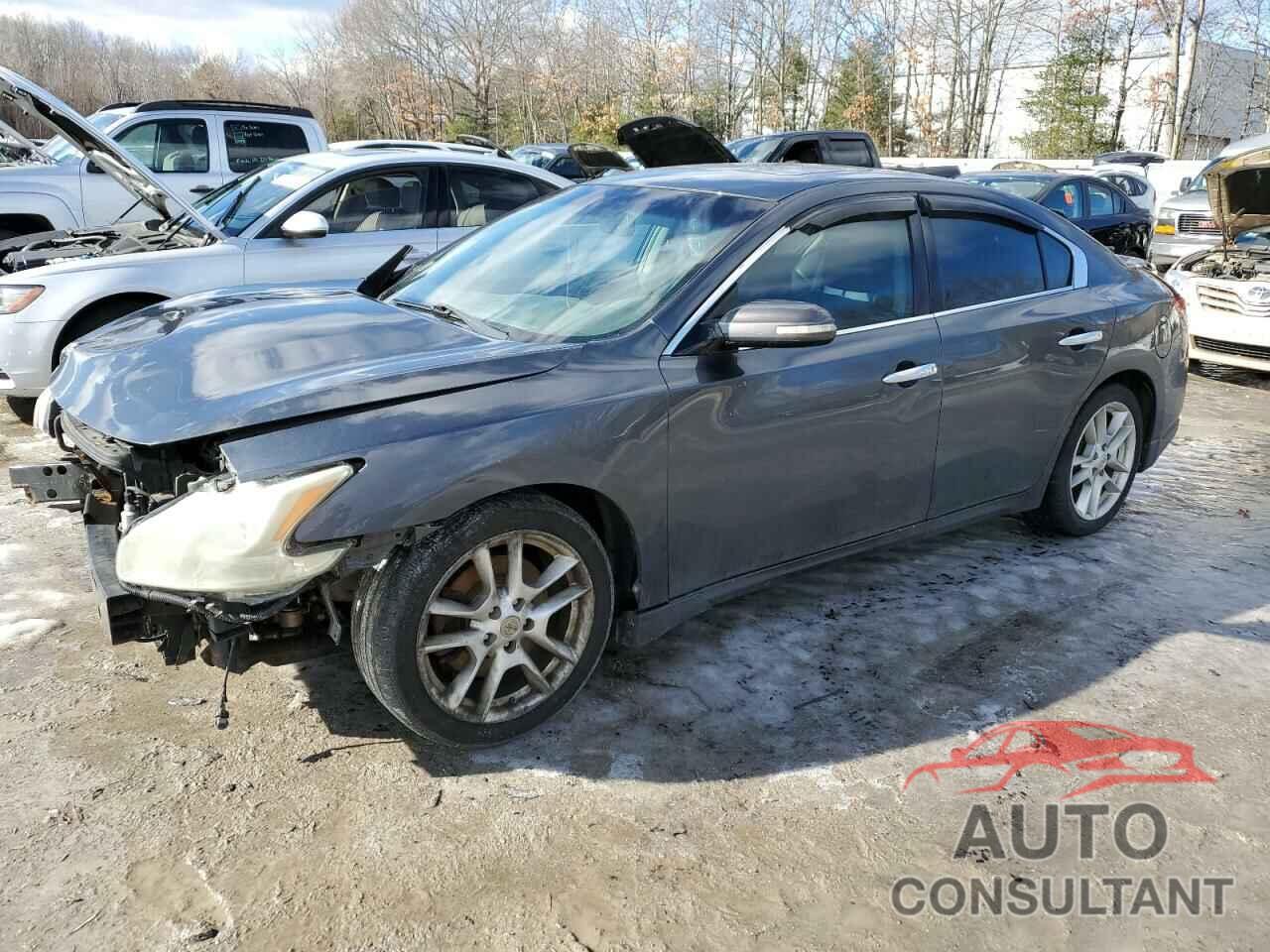 NISSAN MAXIMA 2011 - 1N4AA5AP6BC839040