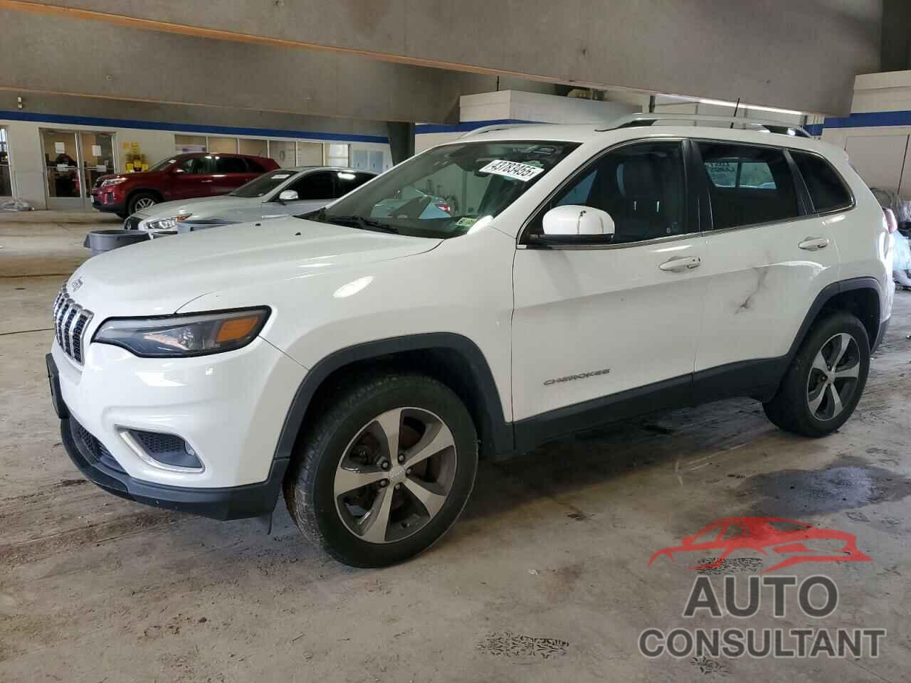 JEEP GRAND CHER 2019 - 1C4PJMDX9KD346893