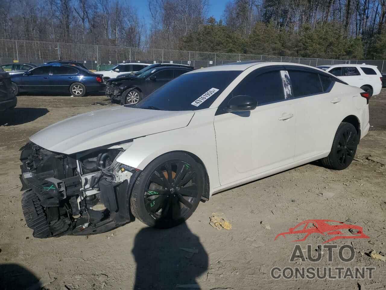 NISSAN ALTIMA 2019 - 1N4BL4CW1KC151105