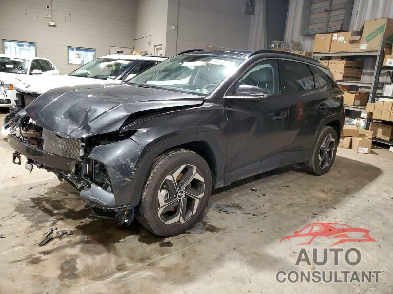 HYUNDAI TUCSON 2023 - 5NMJECAEXPH284832