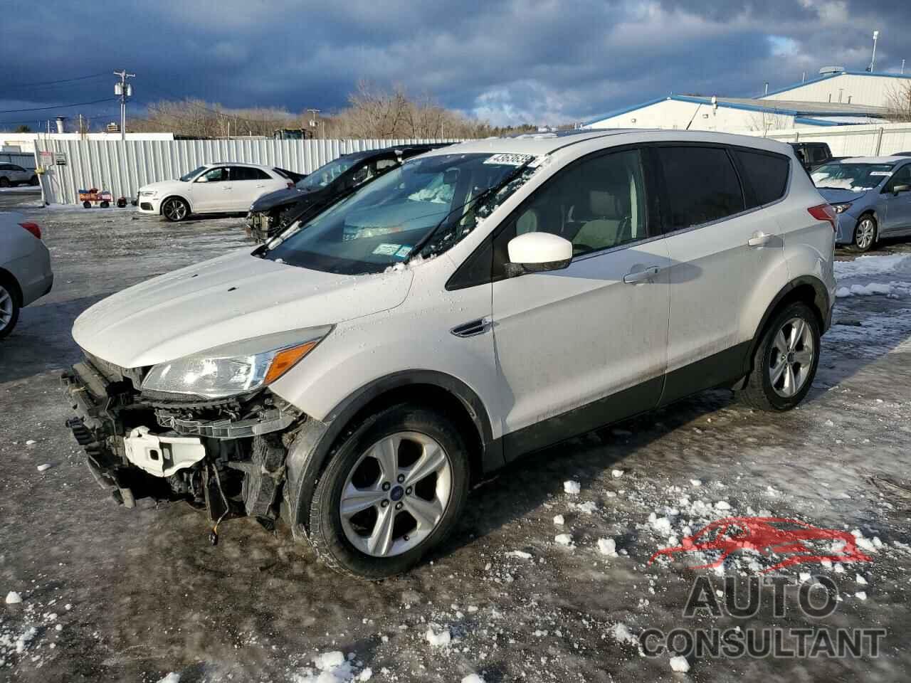 FORD ESCAPE 2014 - 1FMCU9GX5EUE32538
