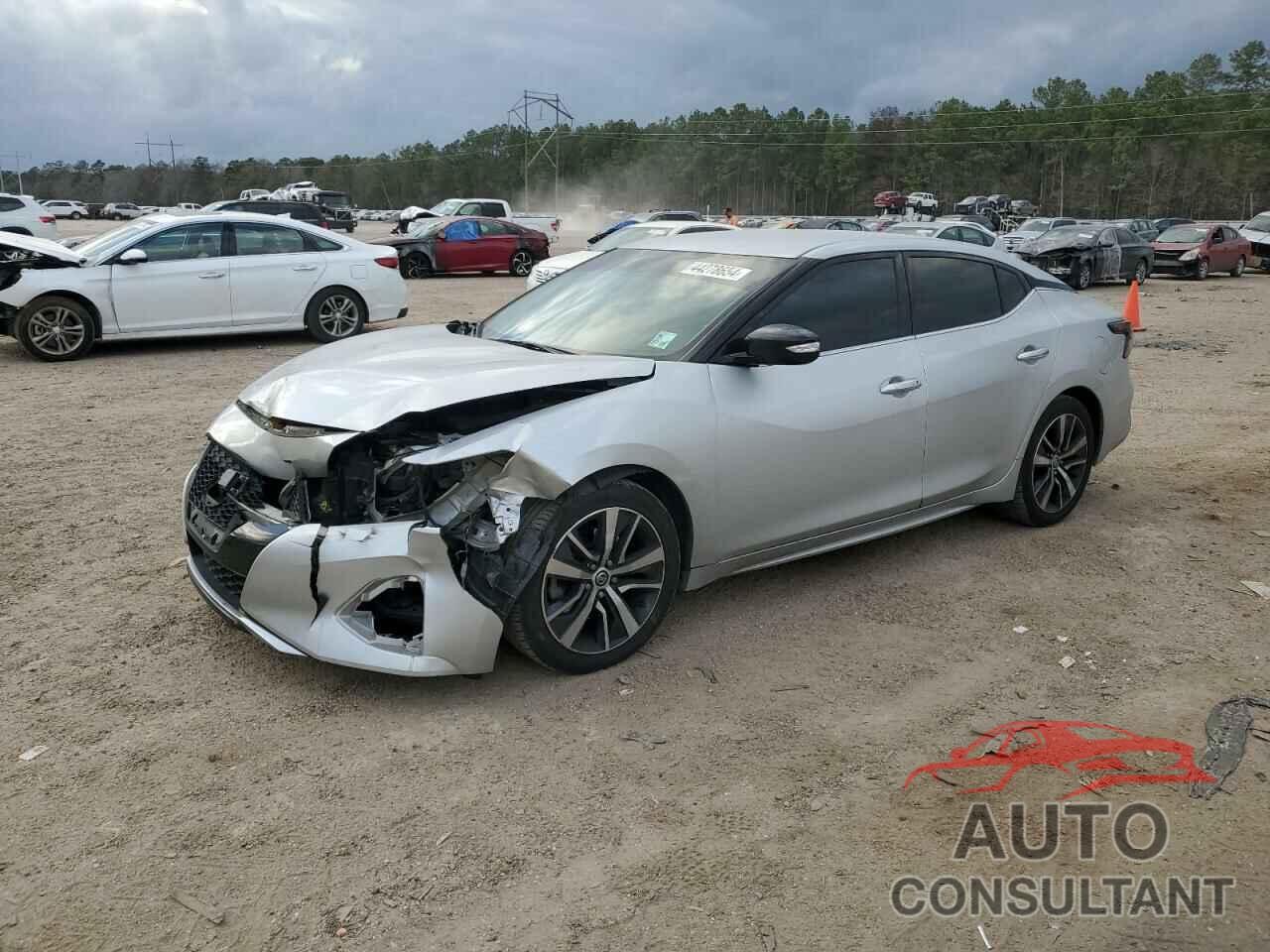 NISSAN MAXIMA 2019 - 1N4AA6AV1KC370248