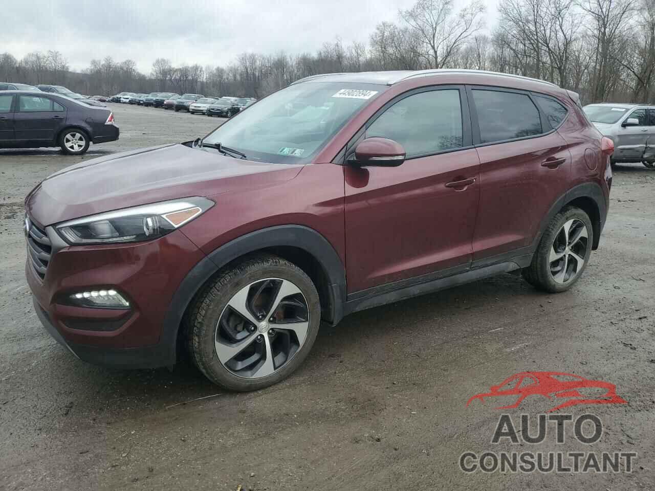 HYUNDAI TUCSON 2016 - KM8J3CA22GU126064