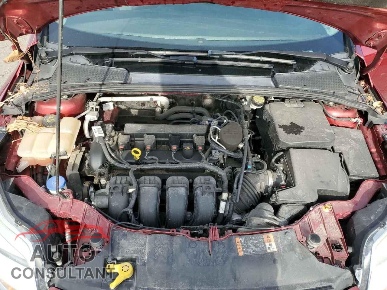 FORD FOCUS 2014 - 1FADP3K21EL452158