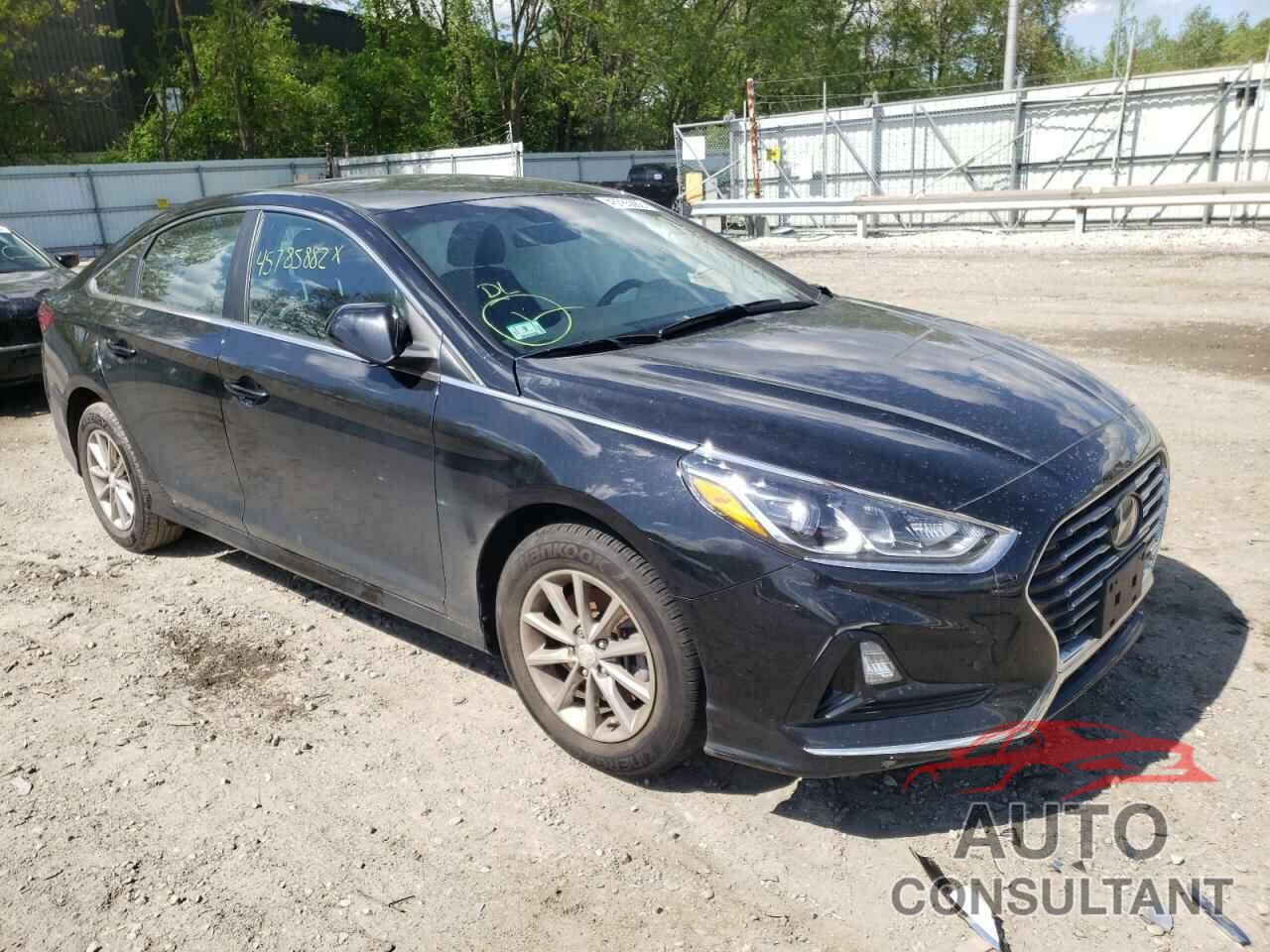 HYUNDAI SONATA 2019 - 5NPE24AF0KH736551