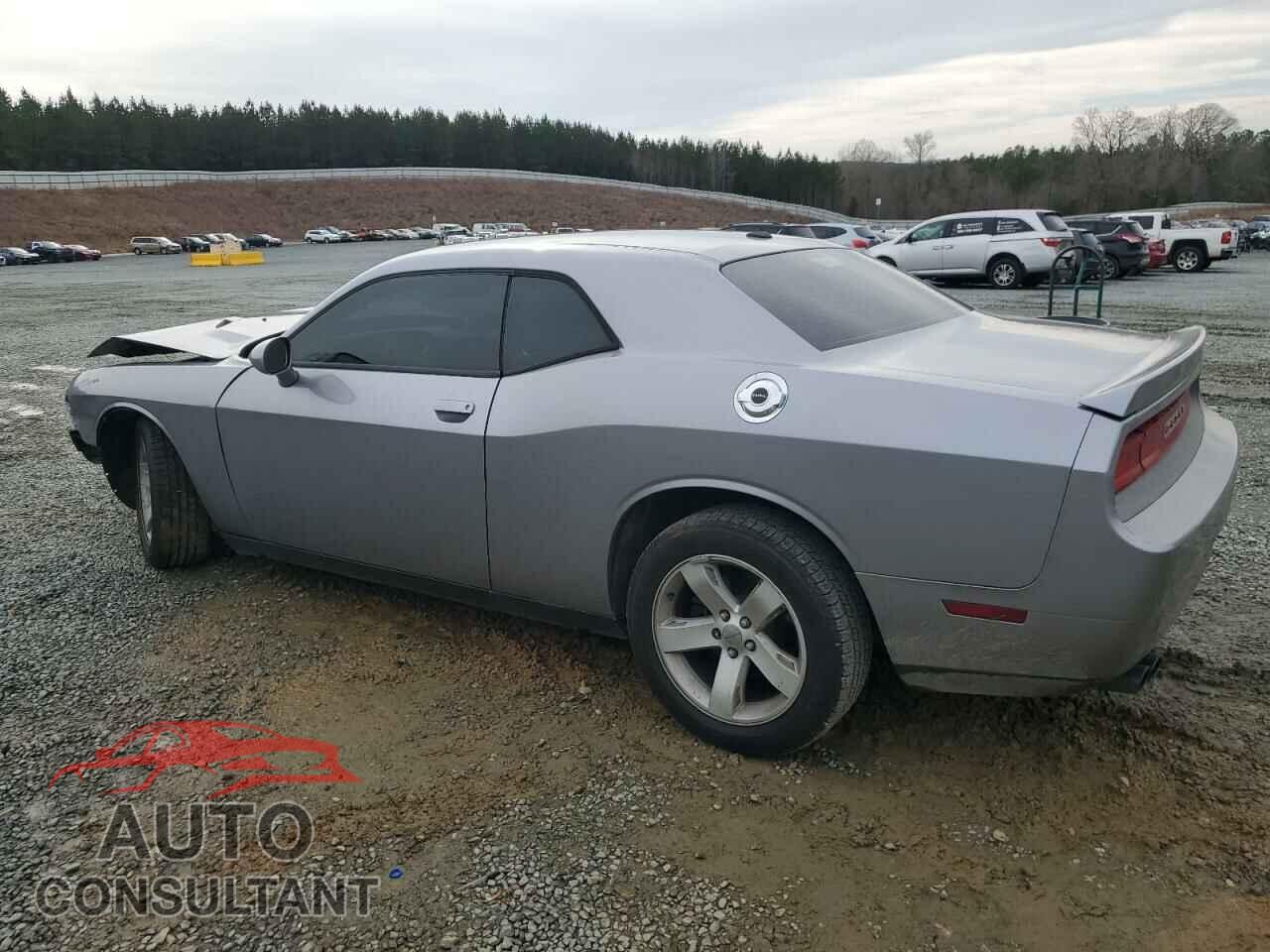DODGE CHALLENGER 2013 - 2C3CDYAG4DH595596