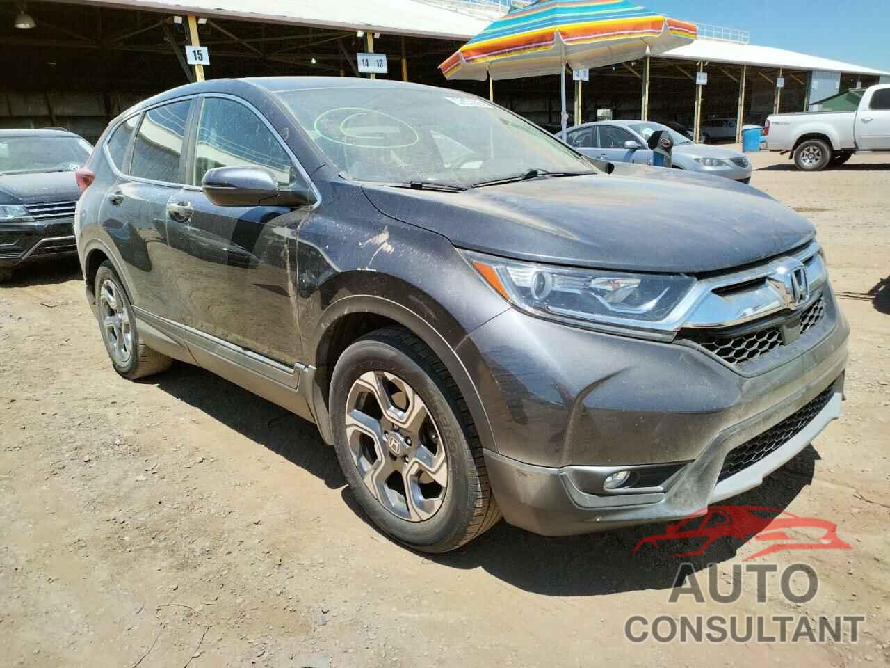 HONDA CRV 2019 - 5J6RW1H51KA013438