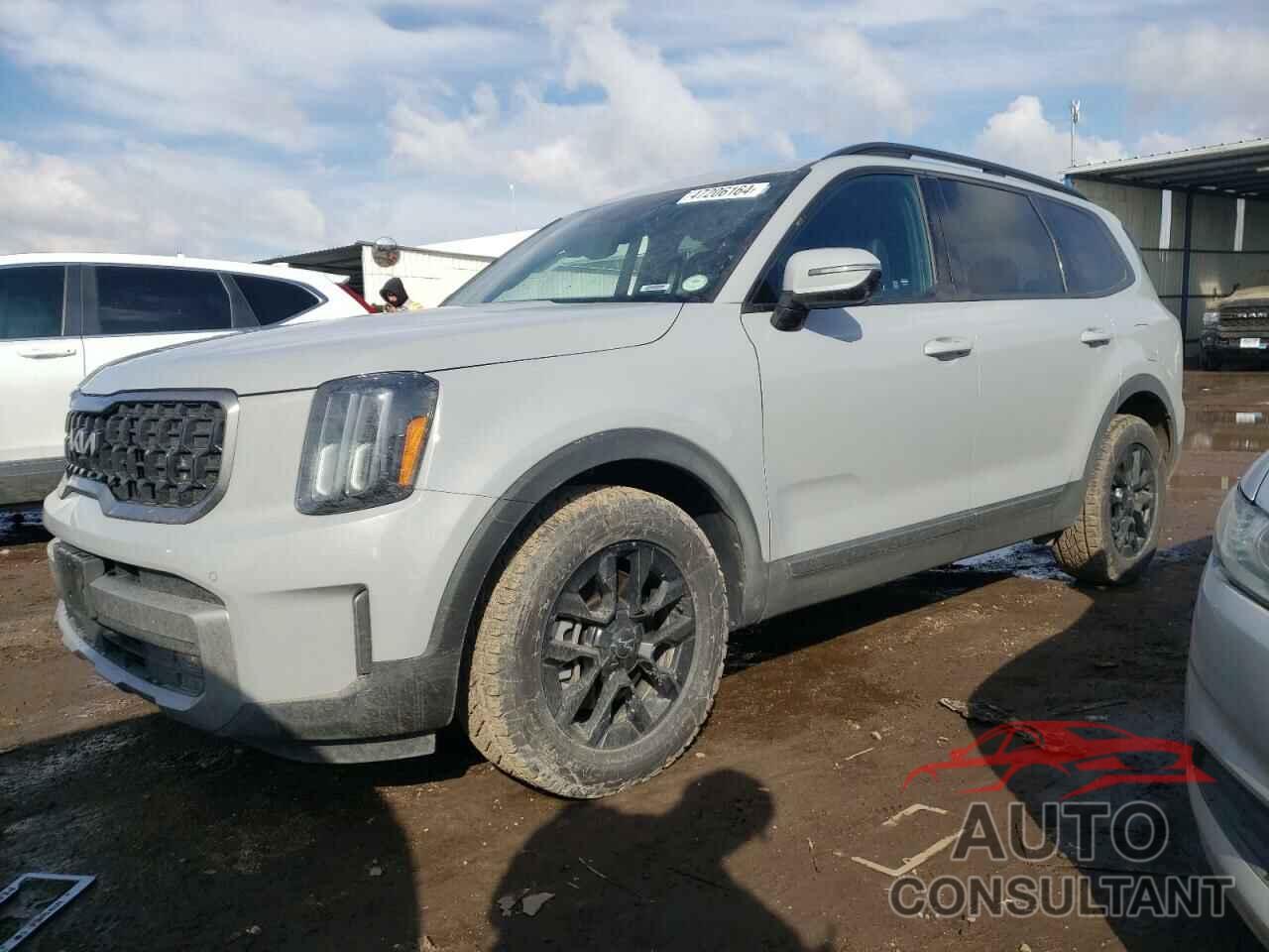 KIA TELLURIDE 2023 - 5XYP5DGC0PG380095