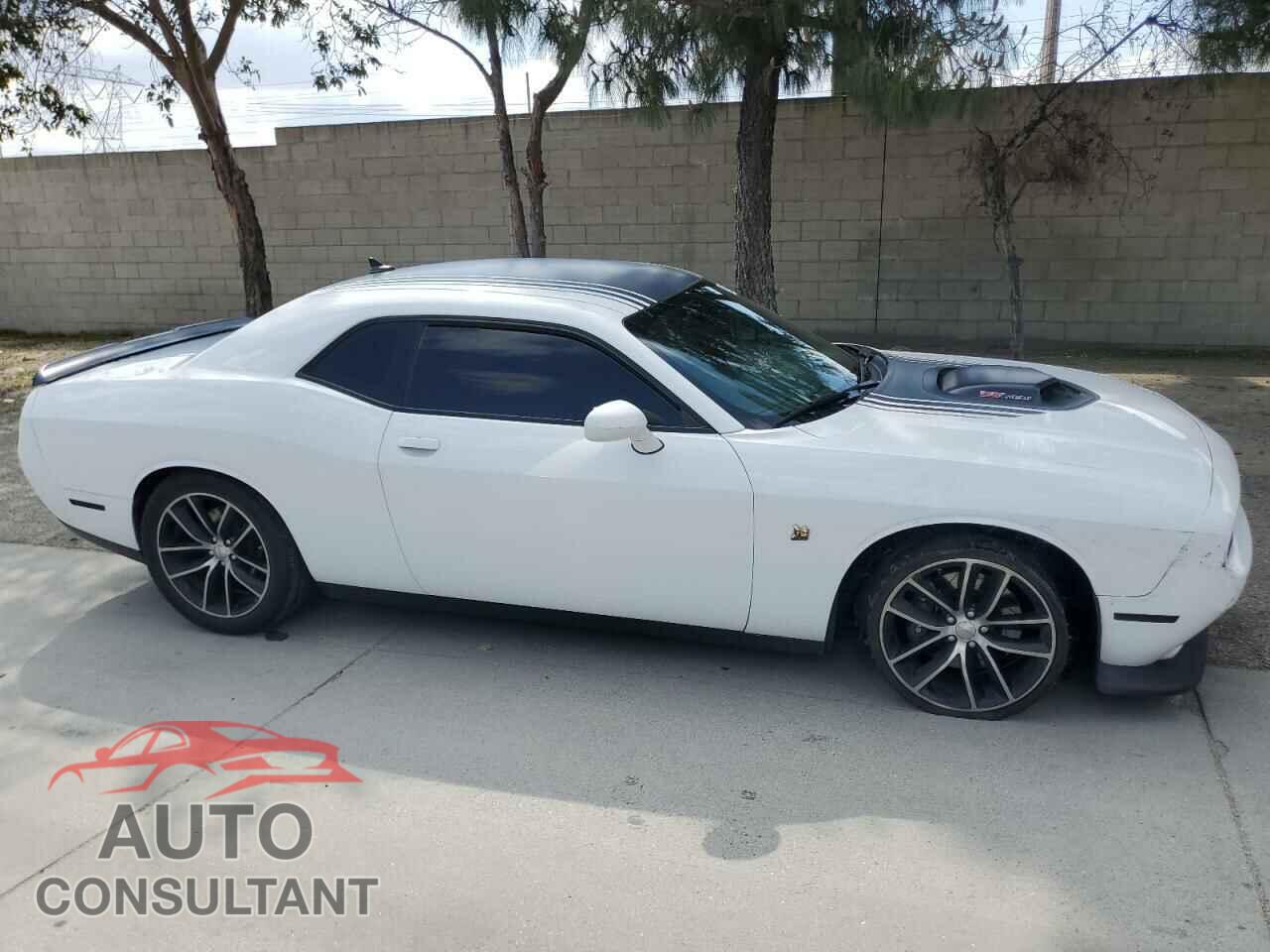 DODGE CHALLENGER 2016 - 2C3CDZFJXGH263645