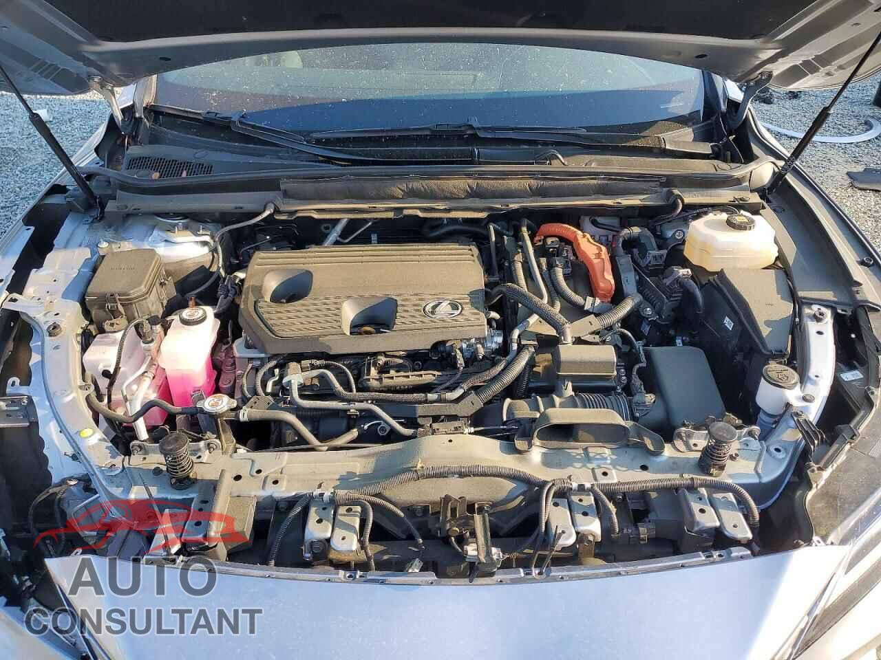 LEXUS UNKNOWN 2024 - 2T2BBMCA3RC054311
