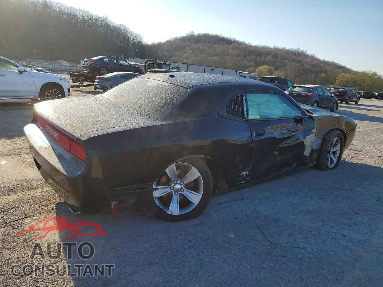 DODGE CHALLENGER 2013 - 2C3CDYAG3DH562542