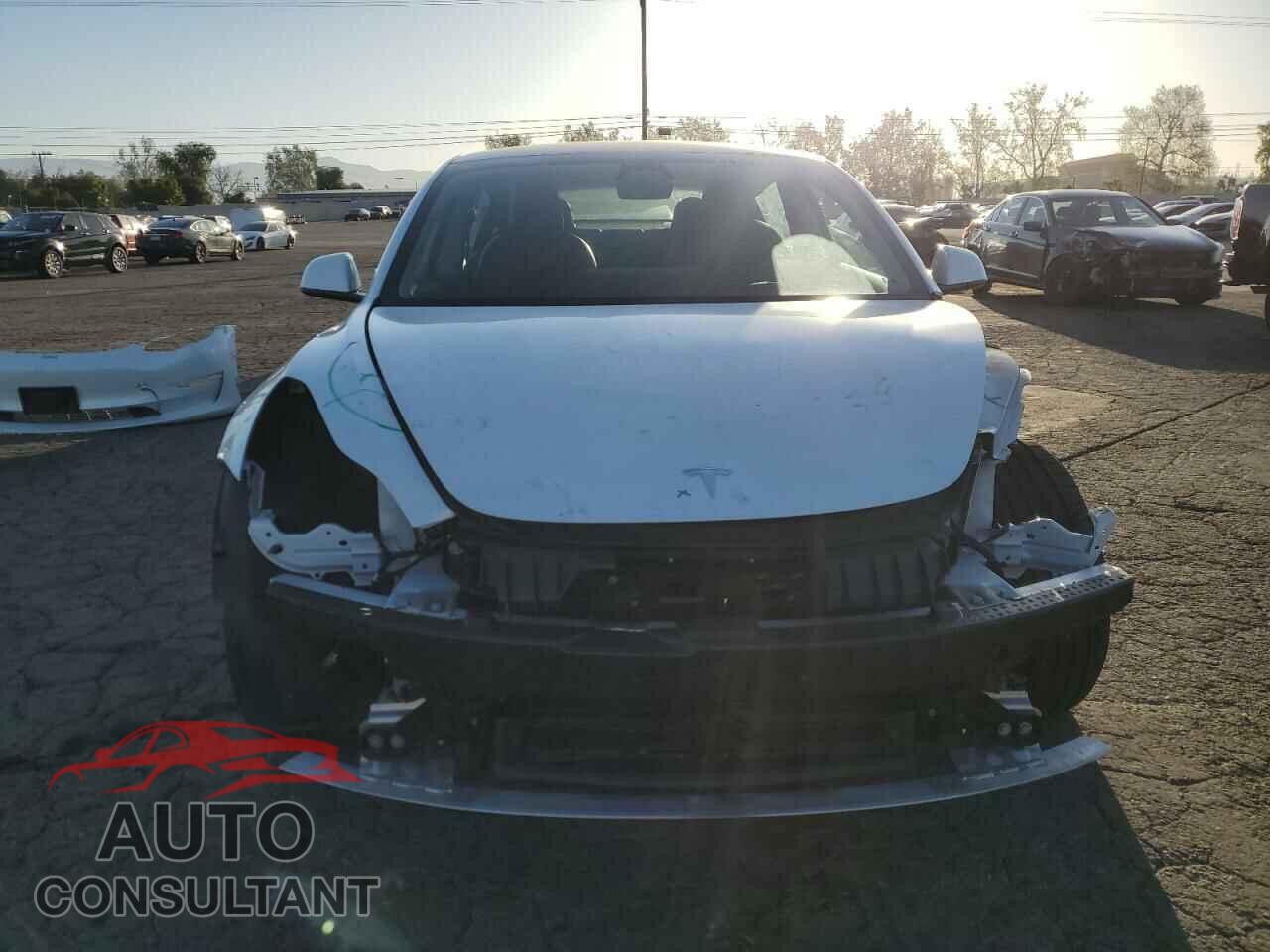 TESLA MODEL 3 2021 - 5YJ3E1EA2MF021218
