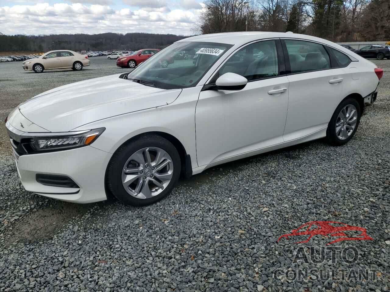 HONDA ACCORD 2019 - 1HGCV1F11KA077768