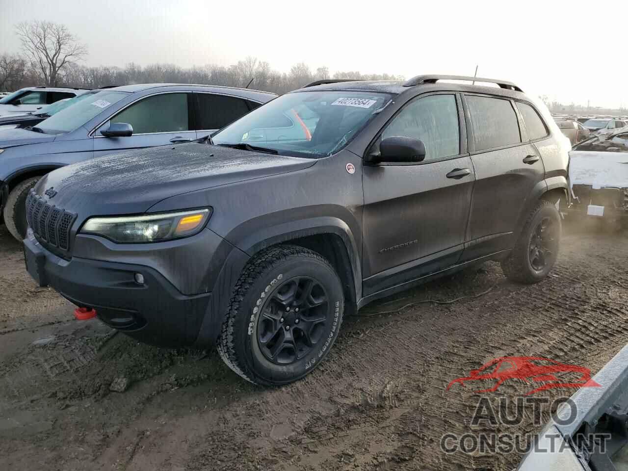 JEEP CHEROKEE 2019 - 1C4PJMBXXKD102625