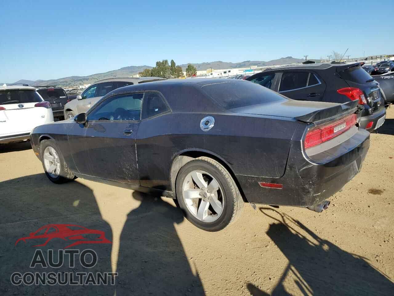 DODGE CHALLENGER 2013 - 2C3CDYAG0DH692424