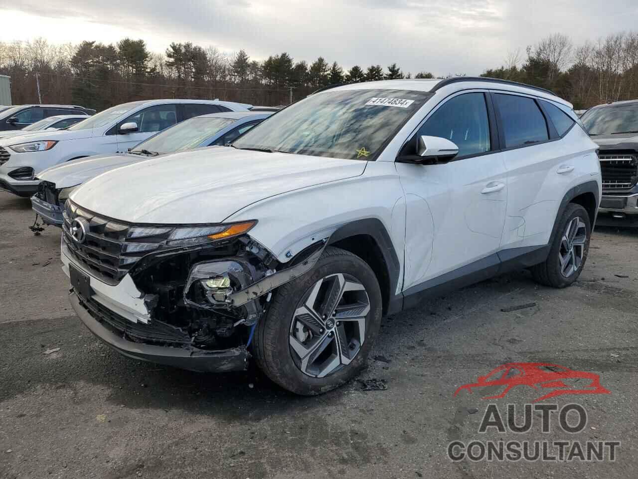 HYUNDAI TUCSON 2024 - 5NMJFCDE2RH318063