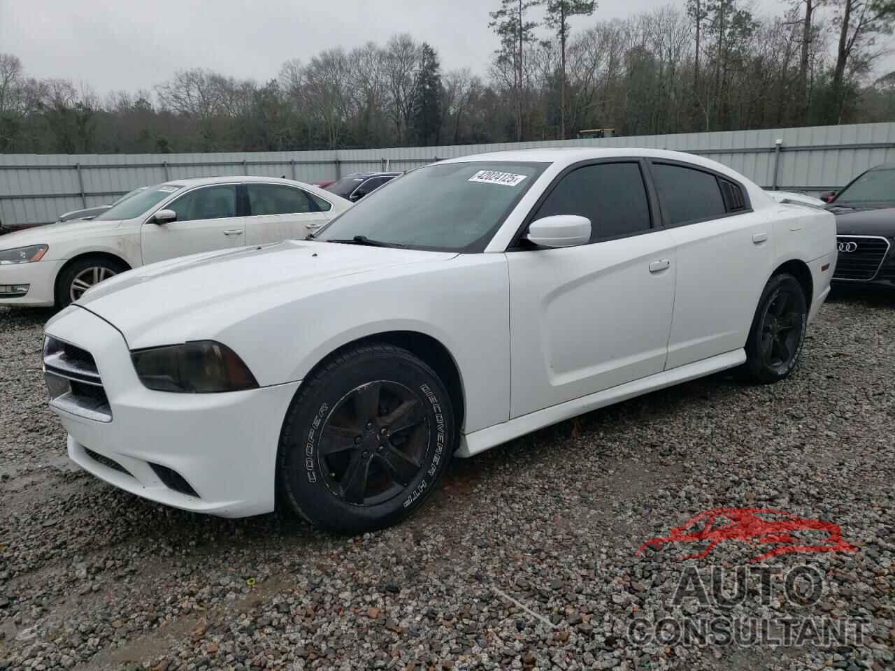 DODGE CHARGER 2011 - 2B3CL3CG9BH587328