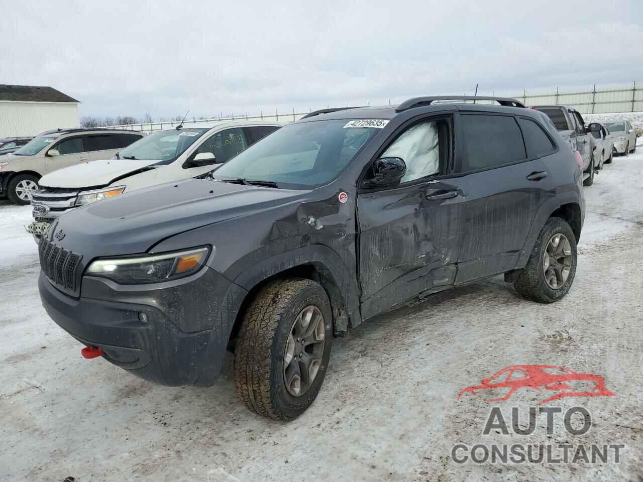 JEEP CHEROKEE 2019 - 1C4PJMBX3KD189087