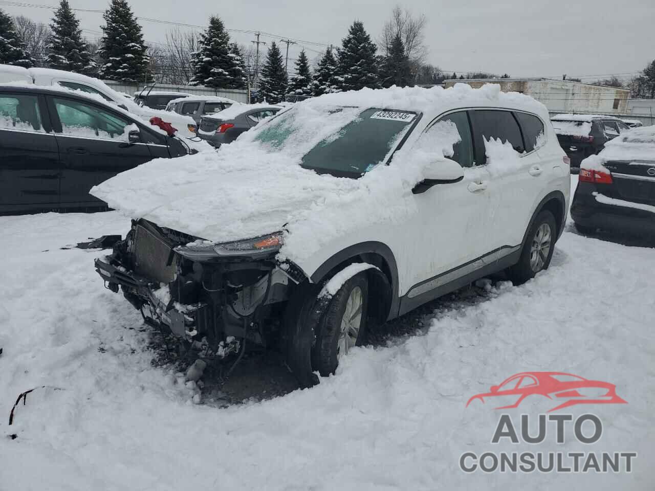 HYUNDAI SANTA FE 2019 - 5NMS2CAD9KH102793