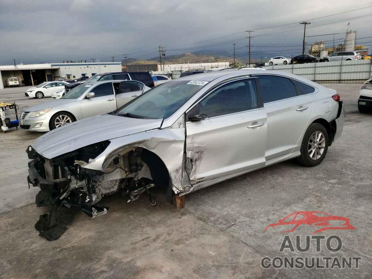 HYUNDAI SONATA 2019 - 5NPE24AF9KH741537