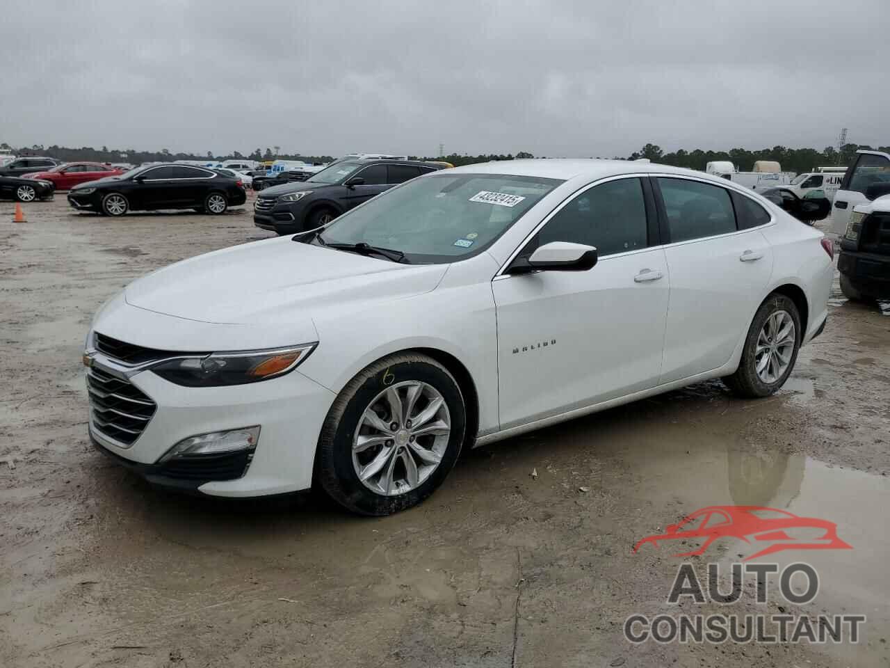 CHEVROLET MALIBU 2019 - 1G1ZD5ST8KF104633