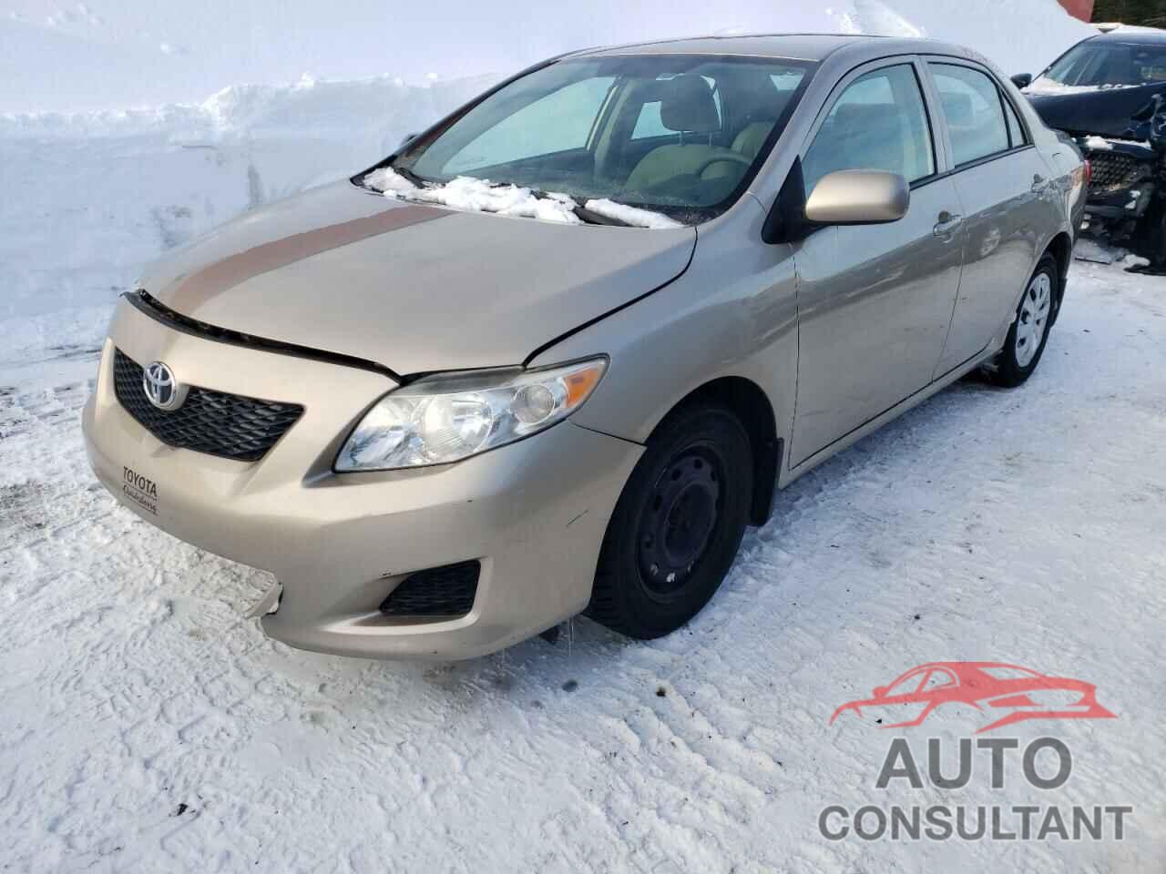 TOYOTA COROLLA 2010 - 2T1BU4EE6AC352161
