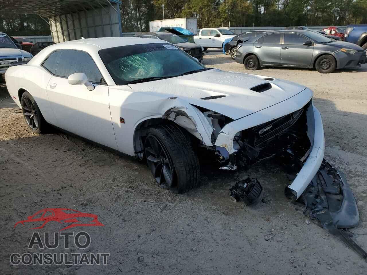 DODGE CHALLENGER 2019 - 2C3CDZFJXKH642377