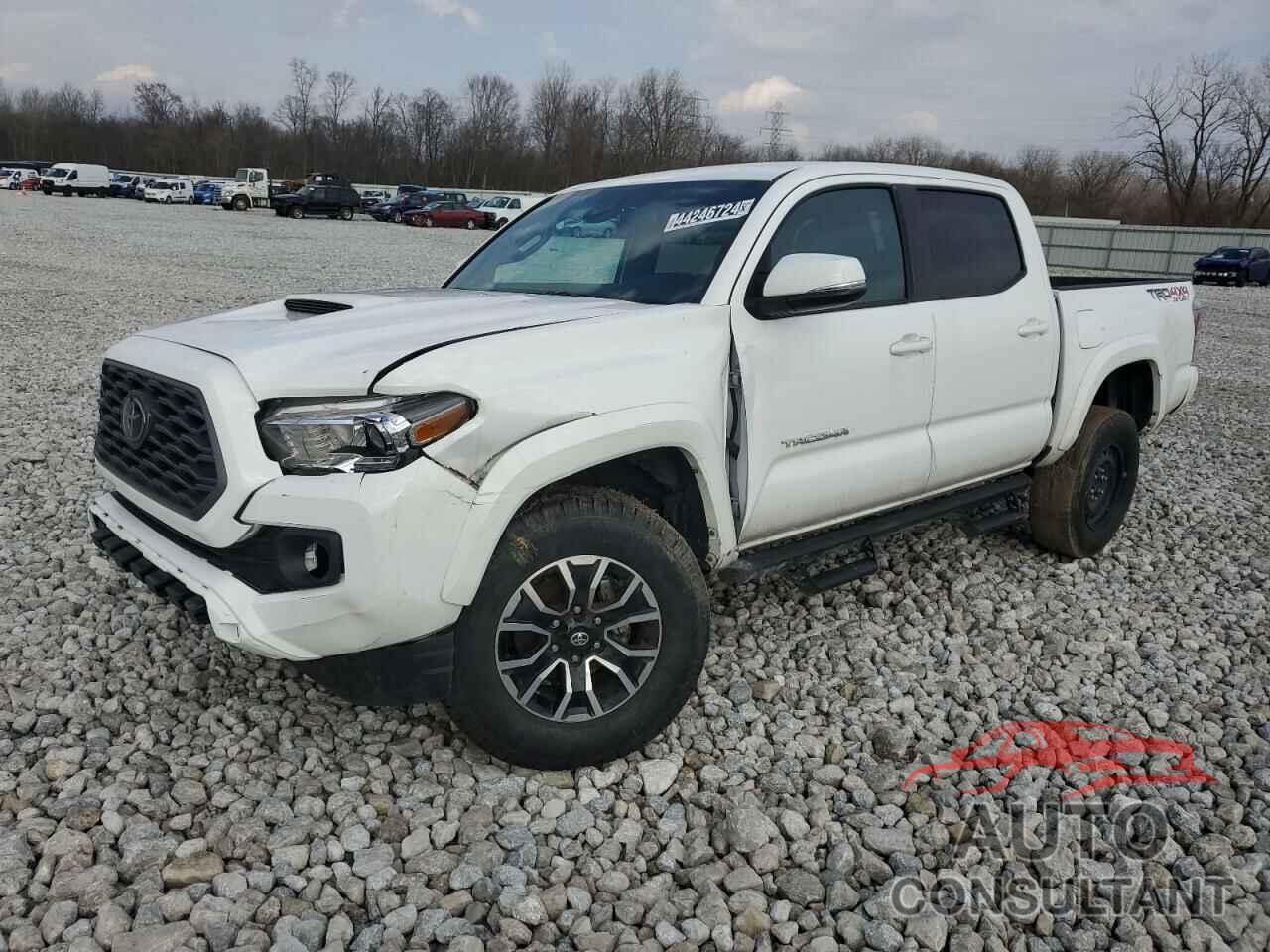 TOYOTA TACOMA 2023 - 3TMCZ5AN5PM558105