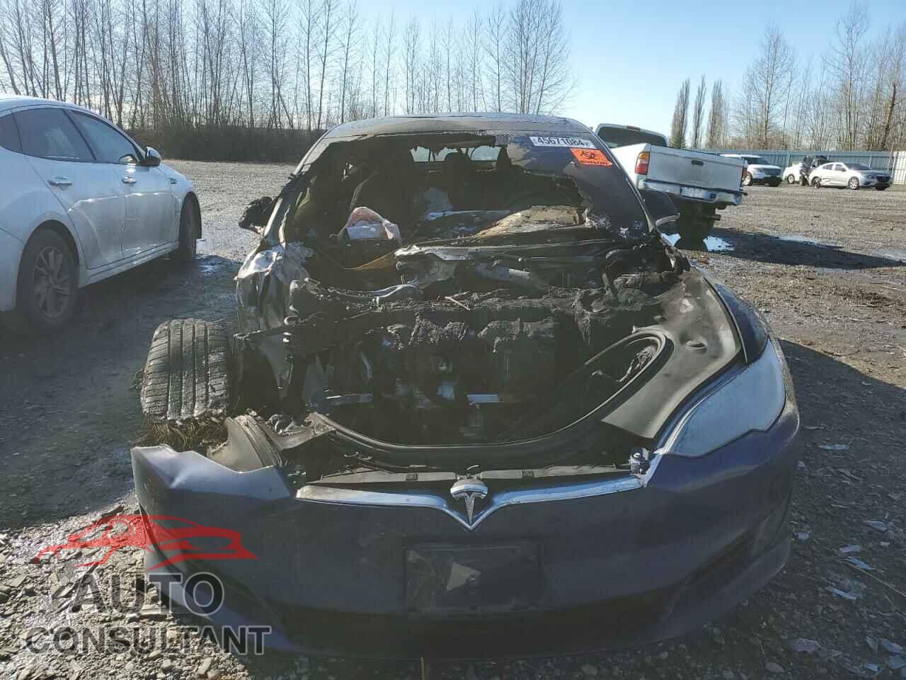 TESLA MODEL S 2016 - 5YJSA1E25GF159601