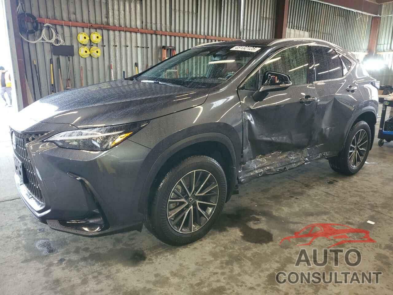 LEXUS NX 250 2023 - JTJADCAZ5P5013411