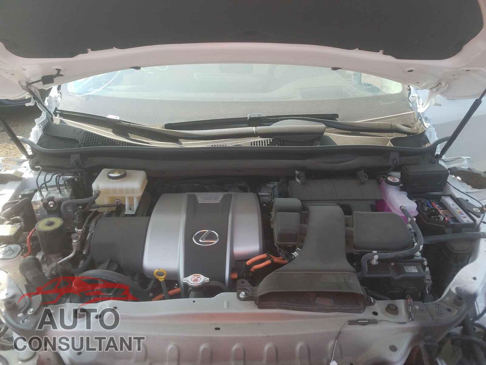 LEXUS RX450 2019 - 2T2BGMCA2KC042786